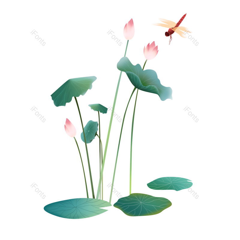荷花图片,插画元素,手绘PNG,荷叶免抠素材